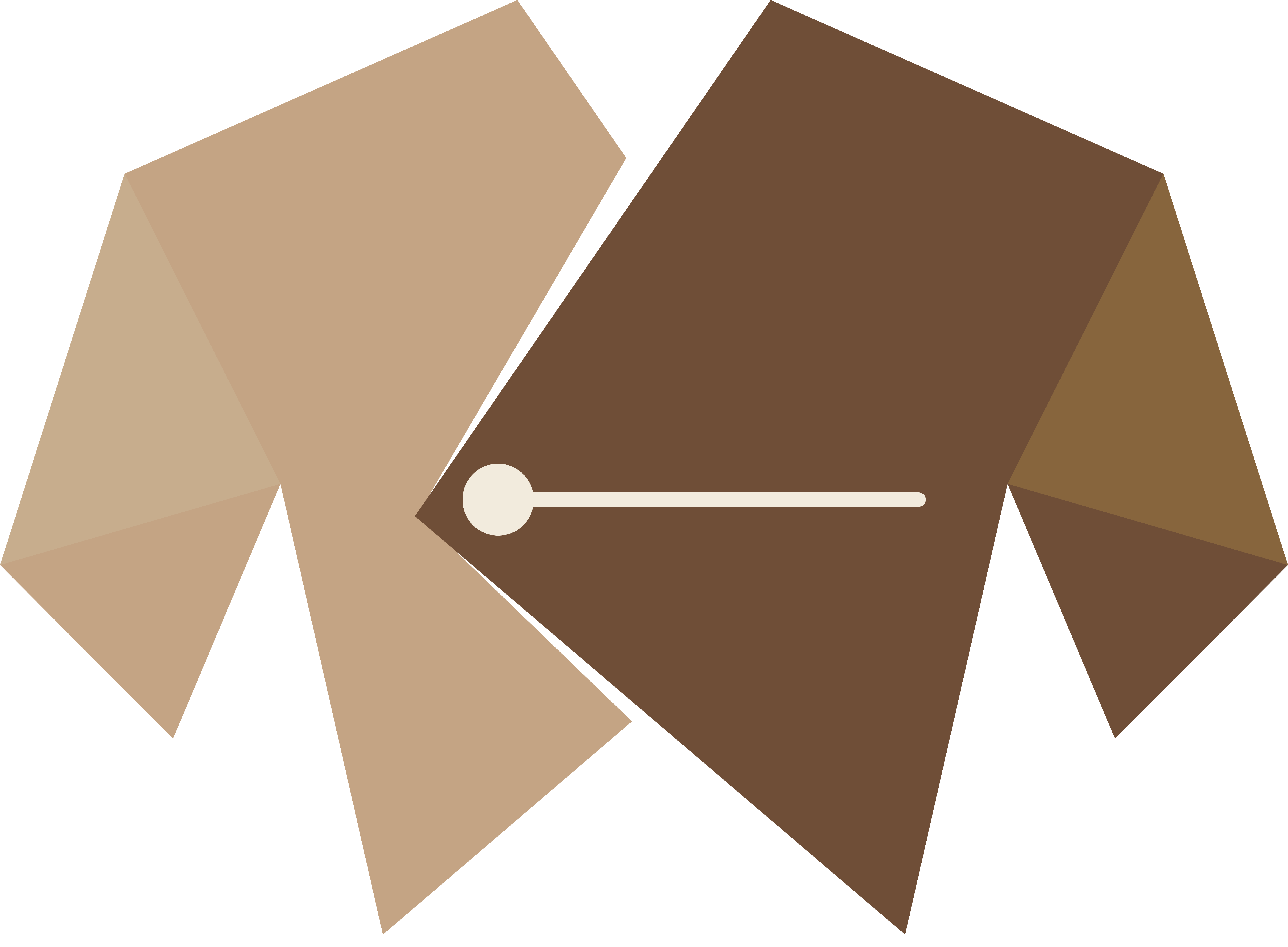 Stylist Srushtee Logo